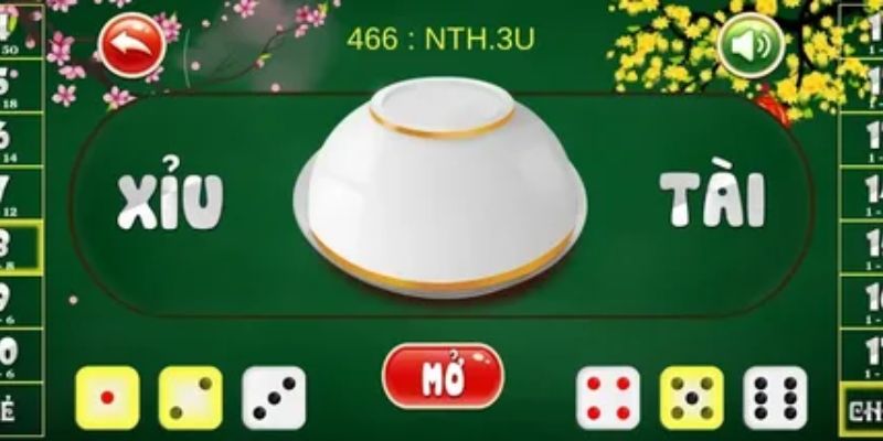 Hướng dẫn cách chơi tài xỉu netwin cơ bản